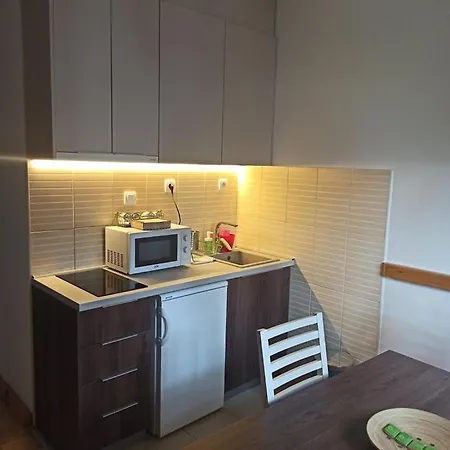 Apartamento Plamenac *