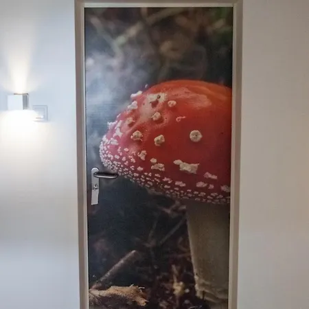 Plamenac * Divčibare