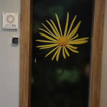 Plamenac * Дивчибаре