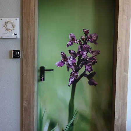 Plamenac * Divčibare