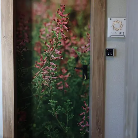 Апартаменты Plamenac Дивчибаре