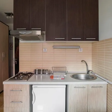 Apartamento Plamenac *