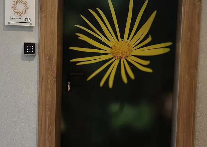 Plamenac * Divčibare