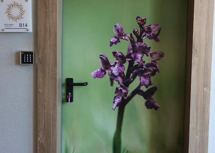 Plamenac * Divčibare