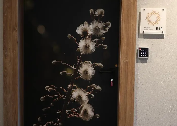 Plamenac Appartement *